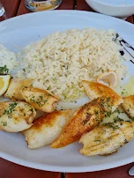 Kalamari